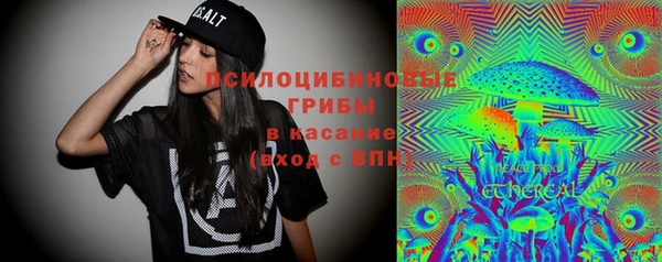 эйфоретик Нефтекумск